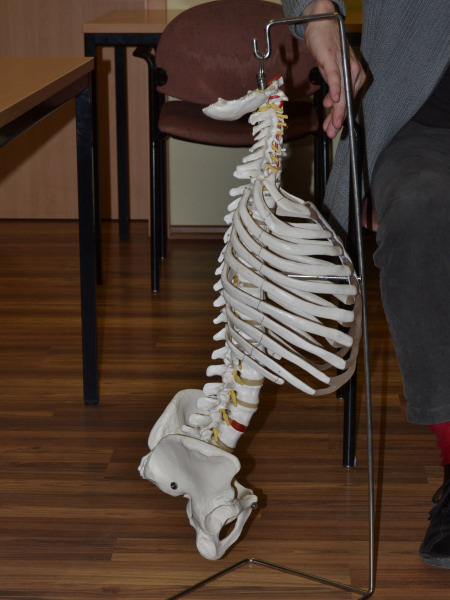 Februar 2014 - zu Gast bei uns Orthopäde Herr Dr. Pfeifer
